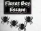 Spel Floret Boy Escape online