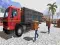 Spel Asian offroad cargo truck driver online