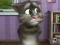 Spel Talking Tom Cat 2 online