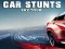 Spel Car Stunts Sky Tour online