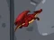 Spel Dragon Domination online