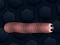 Spel Math Slither online