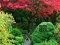 Spel Maple Leaf Garden Escape online