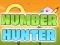 Spel Number Hunter online