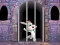 Spel Victory Rabbit Escape online
