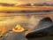 Spel Escape From Sunset Beach online