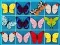 Spel King Of Mahjong online