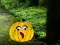Spel Help The Hungry Monkey online