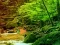 Spel Peaceful Rainbow Forest Escape online