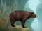 Spel Caged Tiger Cub Escape online