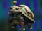 Spel Isolated Turtle Escape online