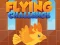 Spel Flying Challenge online