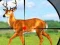 Spel Wild Hunt Hunting Games 3D online