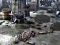 Spel Friends Rescue From Skeleton online