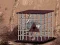 Spel Rescue The Emu From Cage online