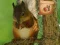Spel Return To Mysterious Password Forest online