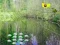 Spel Sunlight Forest Adventure online