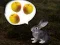 Spel The Foggy Forest online