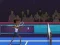 Spel Badminton Brawl online