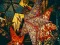 Spel Christmas Stars Jigsaw online