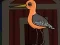 Spel Cute Godwit Escape online