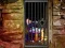 Spel Hidden Cat Escape online