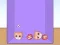 Spel Evolution of Cat Memes online