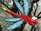 Spel Escape From Dragonfly Forest online