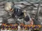 Spel Total Terror online