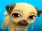 Spel My Virtual Pet Louie the Pug online