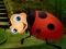 Spel Rescue The Couple Bug online
