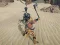 Spel The Scythian Warrior online