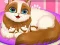 Spel Cute Kitty Pregnant online
