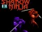 Spel Shadow of the Ninja online