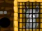 Spel Grey Dog Rescue online