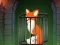 Spel Fox in the Forgotten Ruins online
