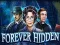 Spel Forever Hidden online
