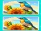 Spel Spot the Difference The Garden online