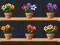 Spel Good Flower Master online