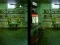 Spel Robot Bar Spot the differences online