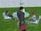 Spel Millionaire Simulator 2024 online