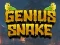Spel Genius Snake online