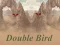Spel Double Bird online