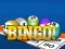 Spel Bingooo 2024 online