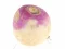 Spel Turnip online