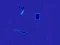Spel Neon Chef online