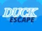 Spel Duck Escape online