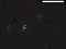 Spel Bad Timing online
