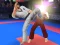 Spel Karate Fighter online