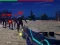 Spel Zombie Survivor online